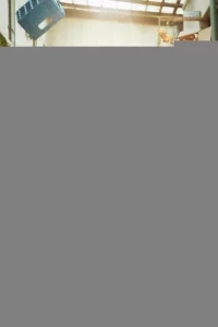 Проект мистера Щина 1 сезон